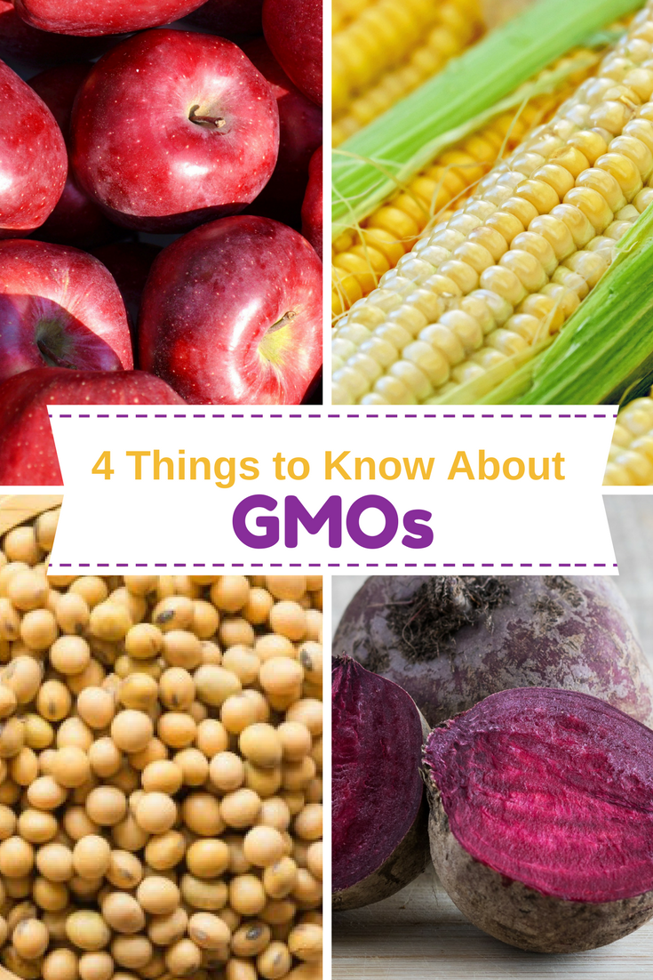 4 Things You Need To Know About Gmos Kansas Farm Food