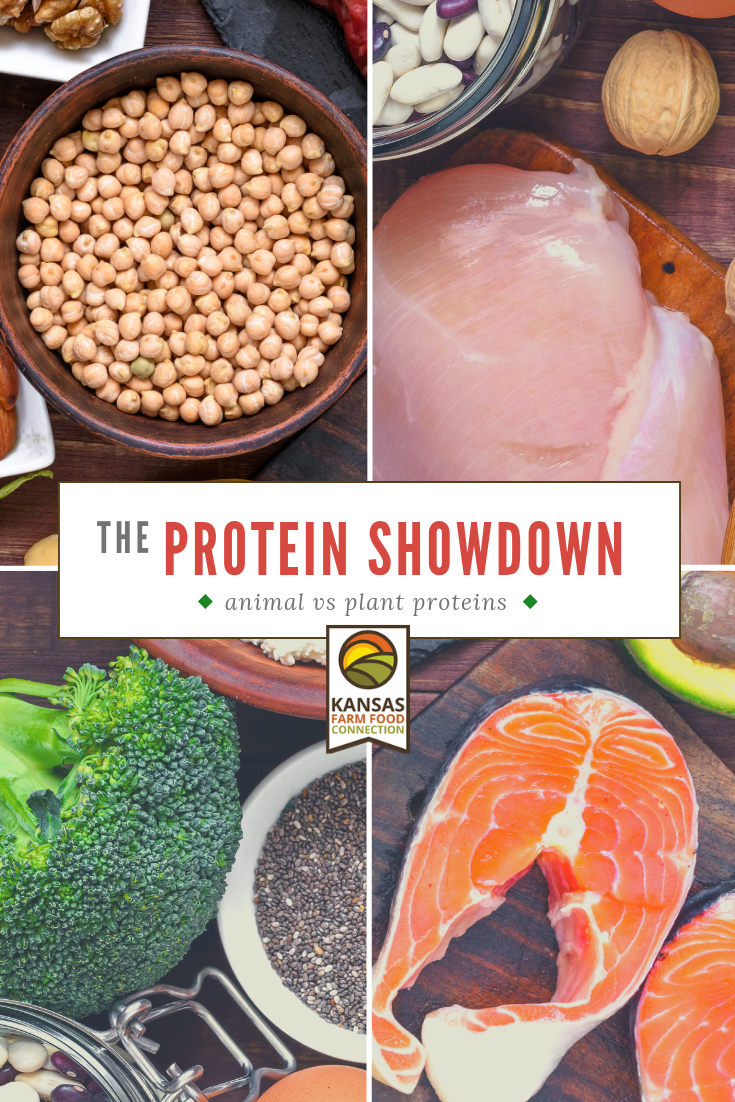 Animal Protein vs Plant Protein Kansas Farm Food