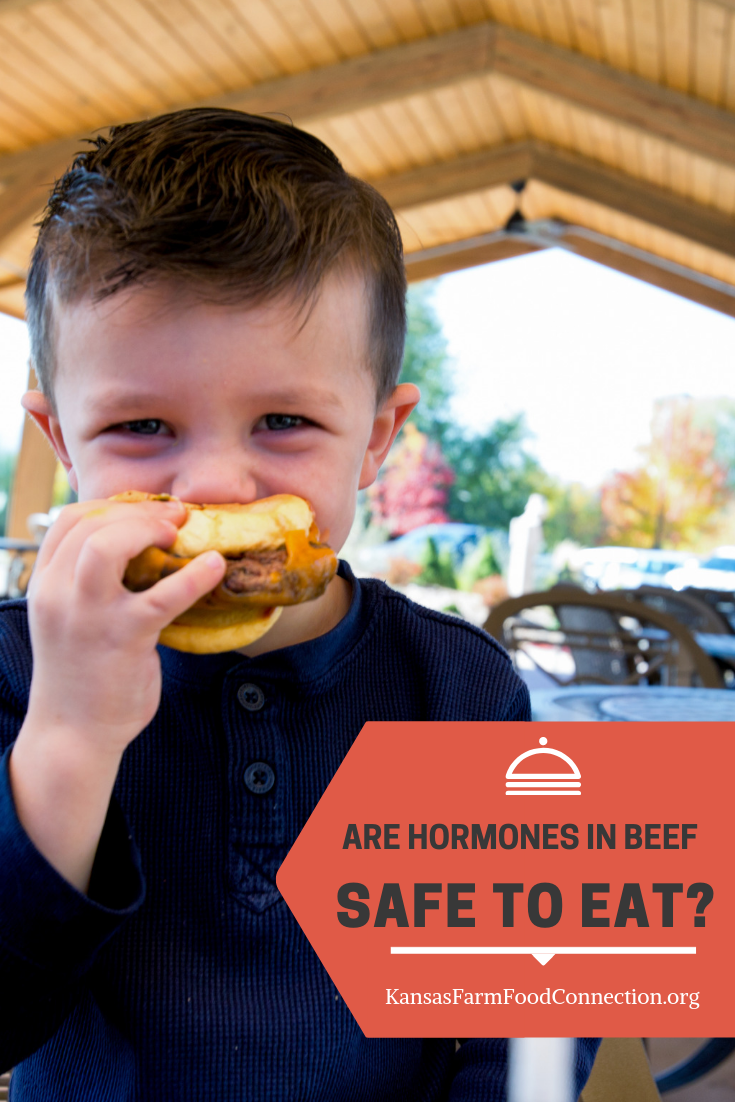 Are Hormones in Beef Safe? Kansas Farm Food