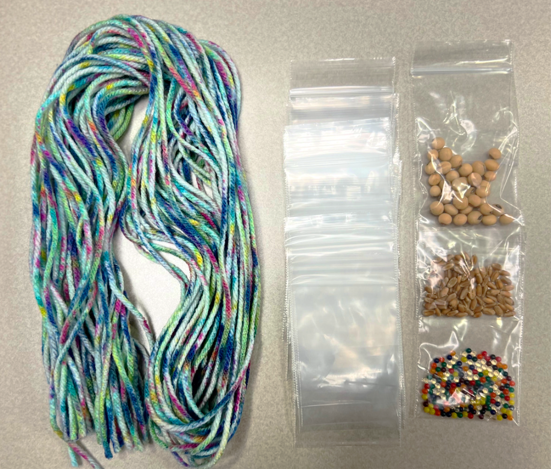 How to Make a Seed Germination Necklace Kansas Farm Food