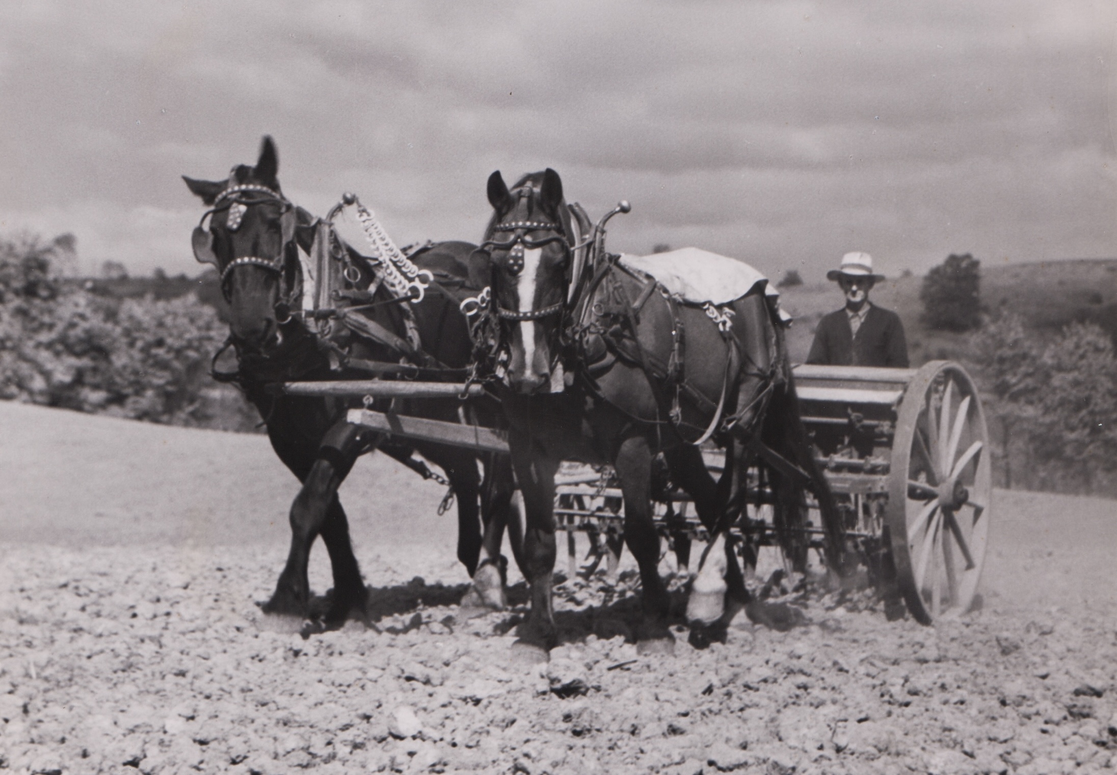 Farming Through the Ages: How Agriculture Has Evolved | Kansas Farm Food