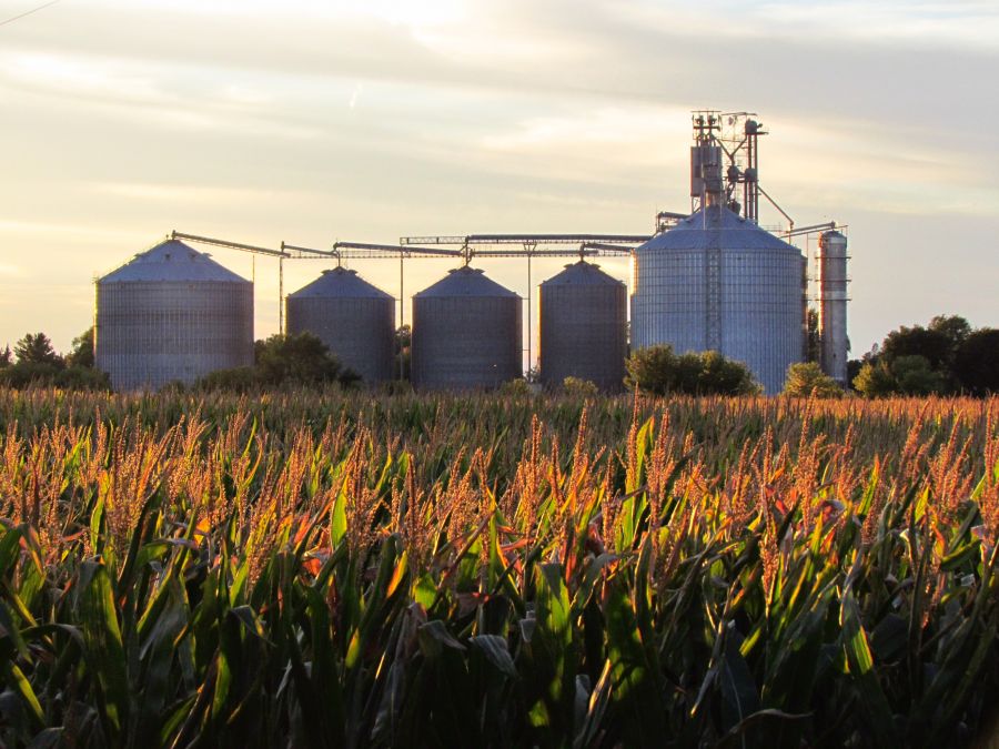 Fun Facts About Harvest in Kansas Kansas Farm Food