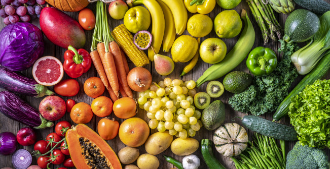 Rainbow of fruits and vegetables