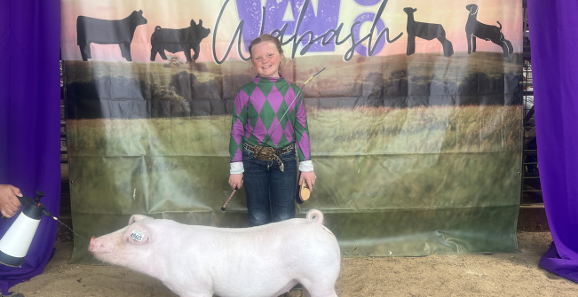 Keatley Kansas 4-H pig show