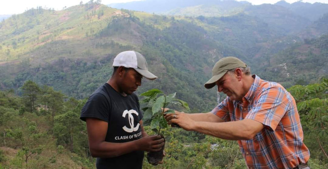 Legacy Farms Coffee - Ashley Williams Honduras