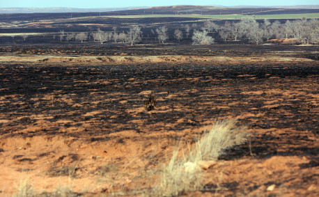 Kansas Wildfire Photo from The Hutchinson News