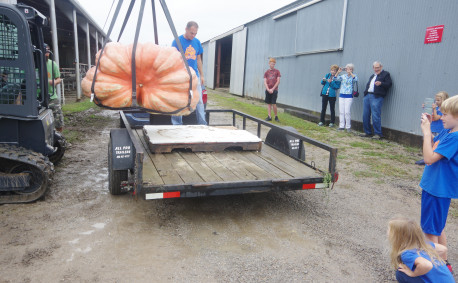 Moving the giant pumpkin is no small feat!