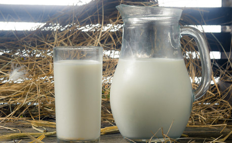 Raw Milk: is it safe to drink
