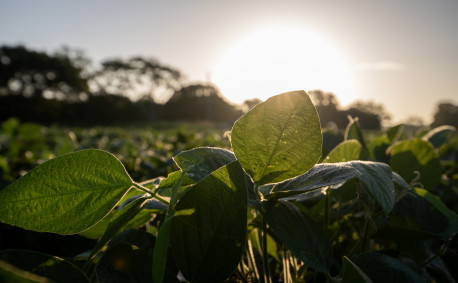 The Bellat family embraces precision agriculture and conservation practices that help protect both natural resources and the family's bottom line.