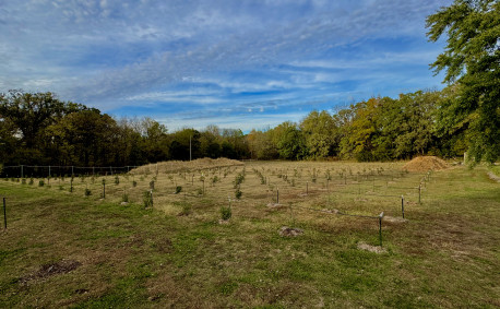 The big orchard planting complete