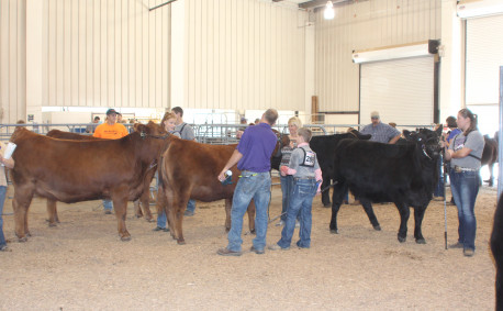 Kansas Junior Livestock Show 2016 preparation area