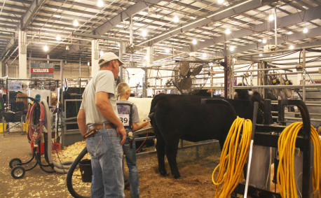 Kansas Junior Livestock Show 2016 family effort