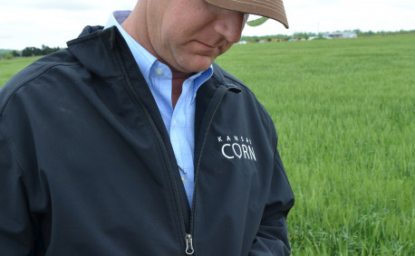 Randy Small checks on his wheat crop.