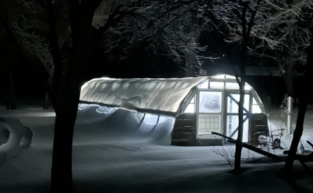 The farm greenhouse in winter