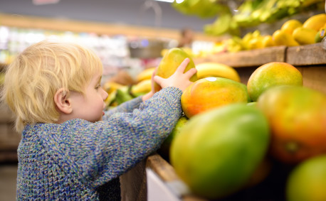 Little boy picking out a ripe mango