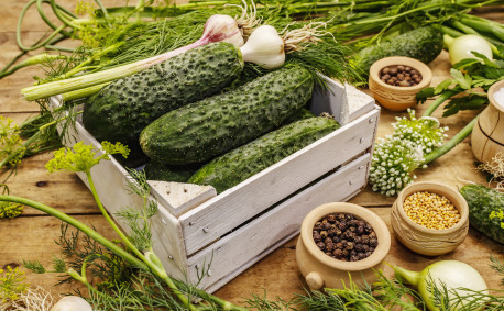 fresh cucumbers and pickling supplies