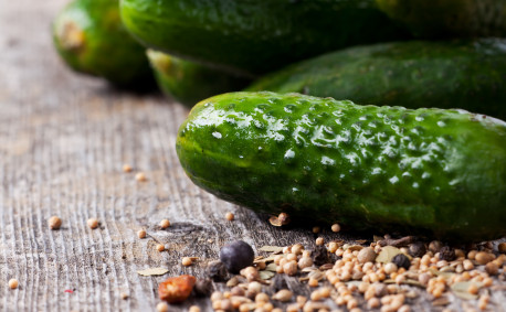 microwave pickle recipe