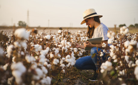 Cotton farmer in a cotton field