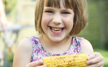 Corn in season in summer