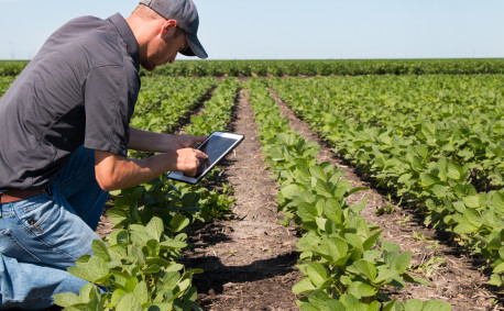 Farmer in Field With Technology