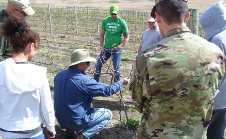 Veterans at the SAVE Farm in Manhattan learning to grow grapes