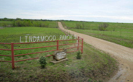 My Day at the Ranch, Lindamood Ranch