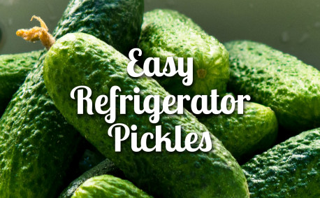 Pickles refrigerator recipe