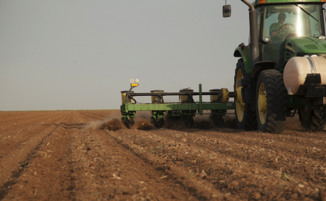 Planting: Sorghum is planted between February and July, depending on the location of th e farm.