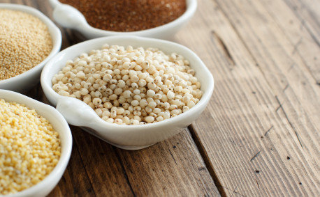 Sorghum Nutrition and Nutrients