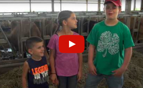 video tour a dairy farm