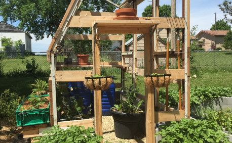 Building the town greenhouse