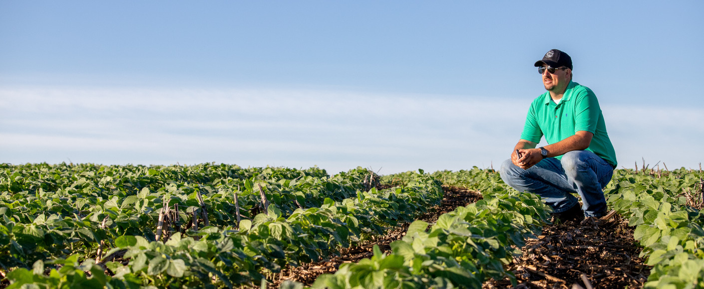 Brett Neibling soybean field - header