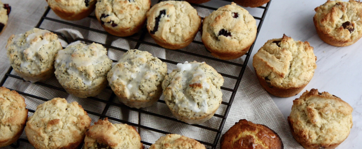 Blueberry Muffin Recipe