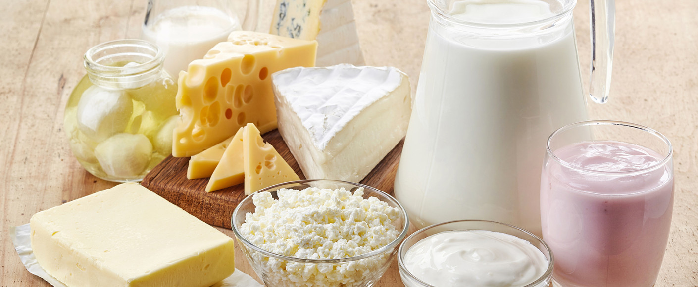 dairy nutrition