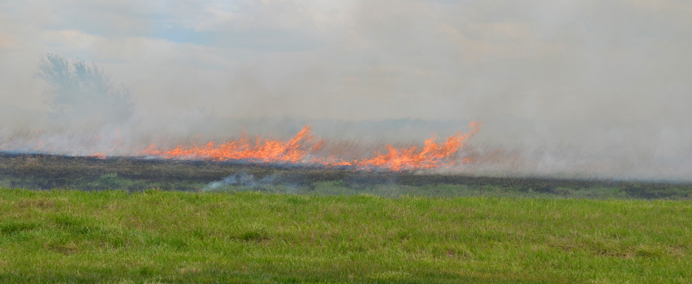 Why farmers burn fields