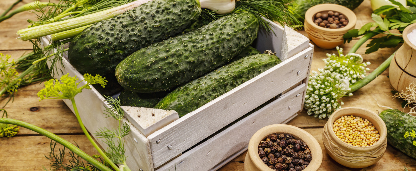 fresh cucumbers and pickling supplies