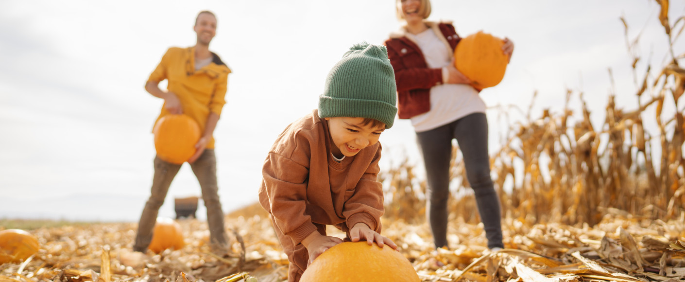Pumpkin patches and orchards in Kansas 2022