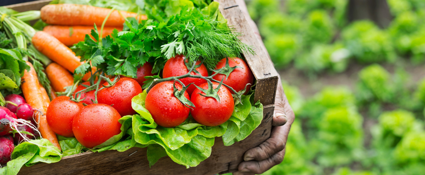 farming crops