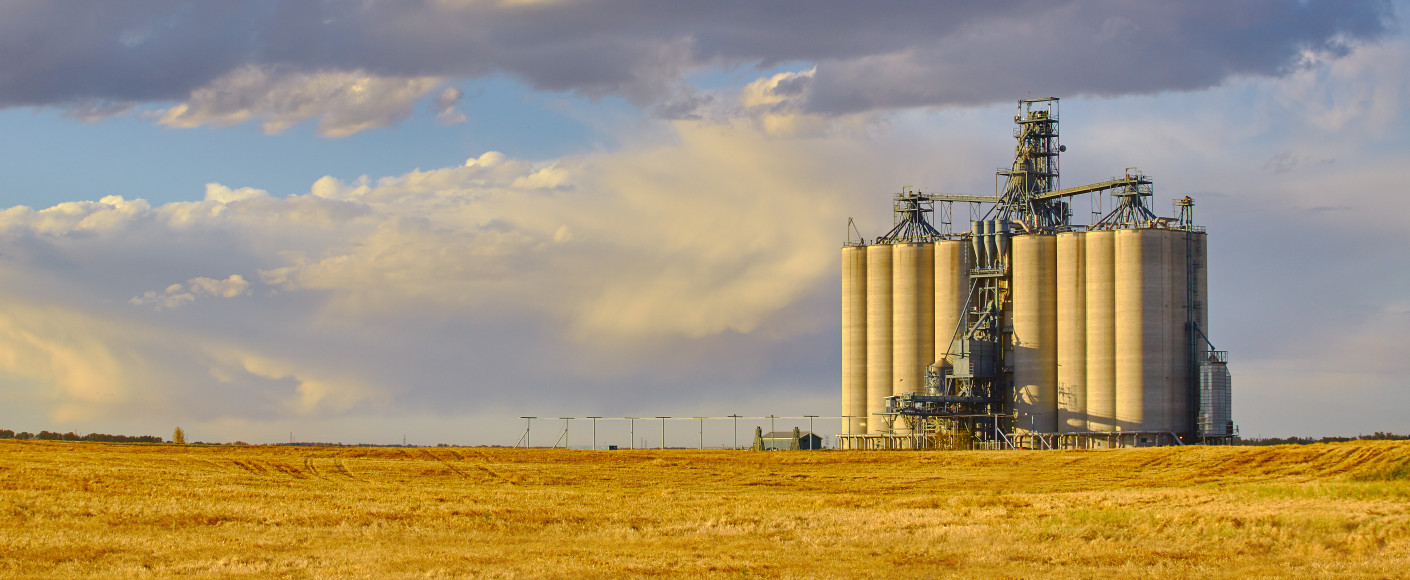 Grain elevator HEADER