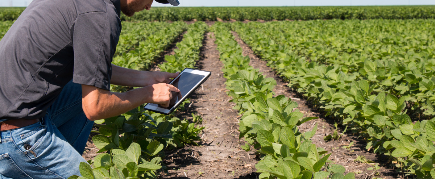 Farmer in Field With Technology