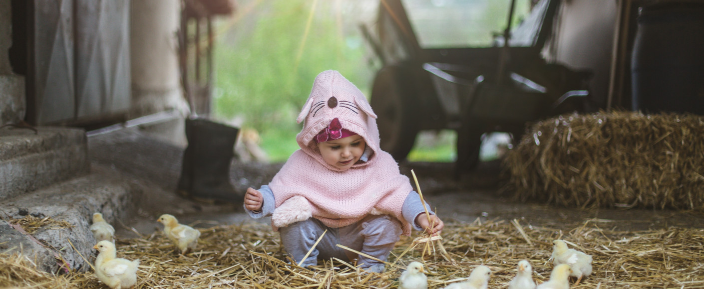 Baby in barn with chicks - spring chickens