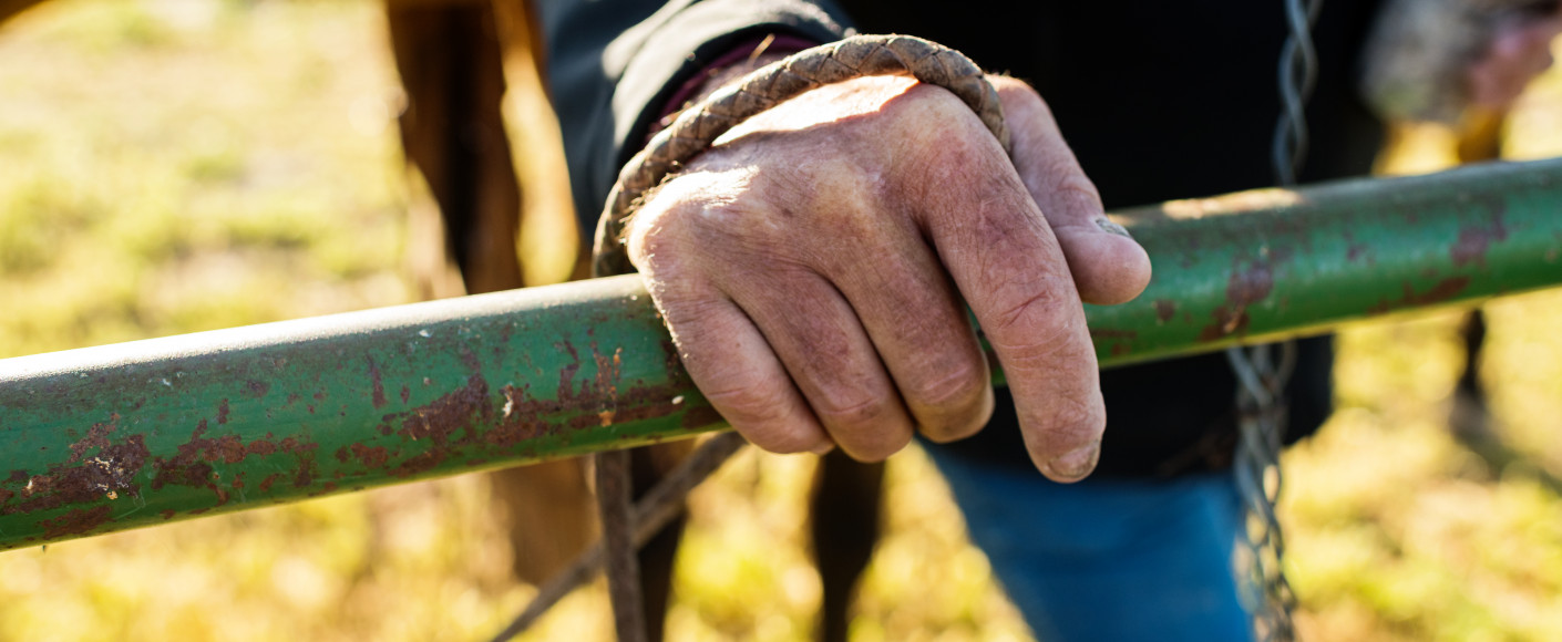 Close up on farmer hands