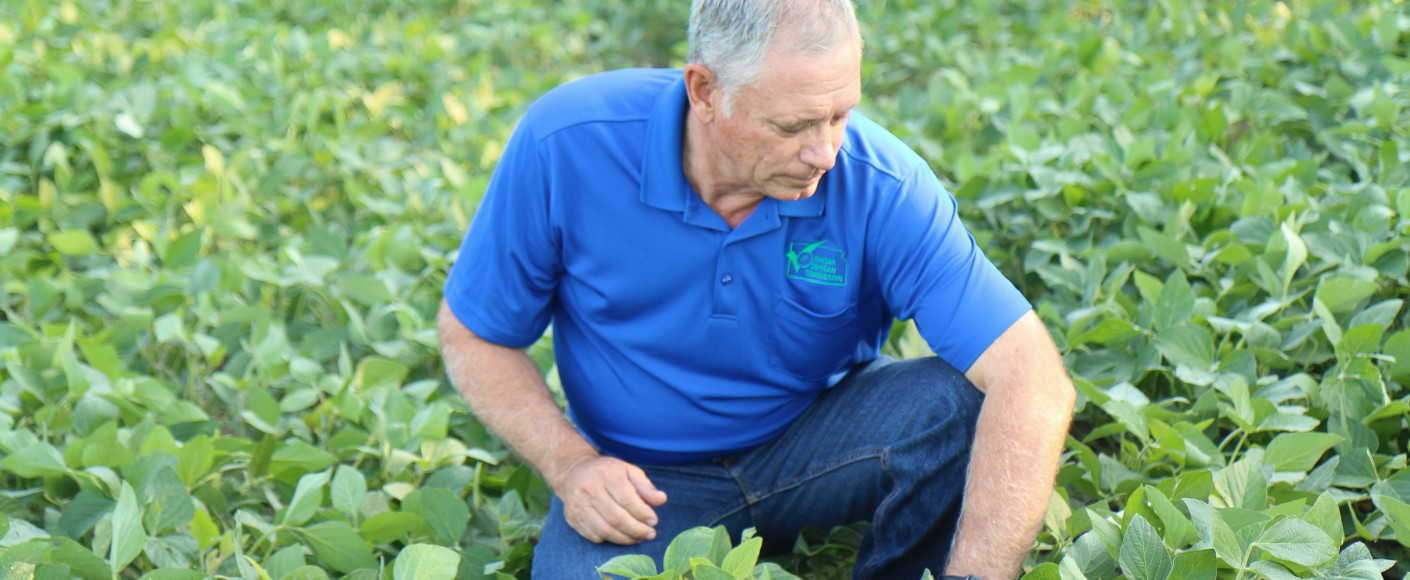 Lance Rezac Kansas Soybean Farmer in Field