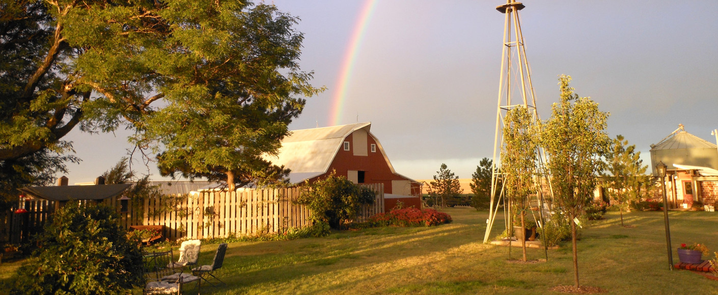 Shiloh Vineyard in Western Kansas