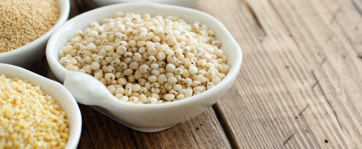 Sorghum Nutrition and Nutrients