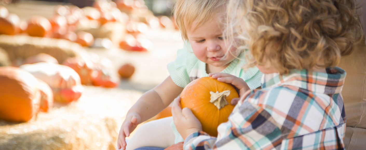 Children at a Pumpkin Patch