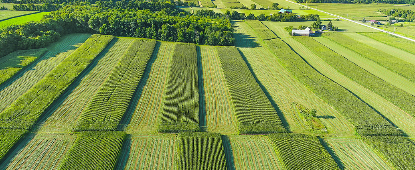 Top Crops Around the Country