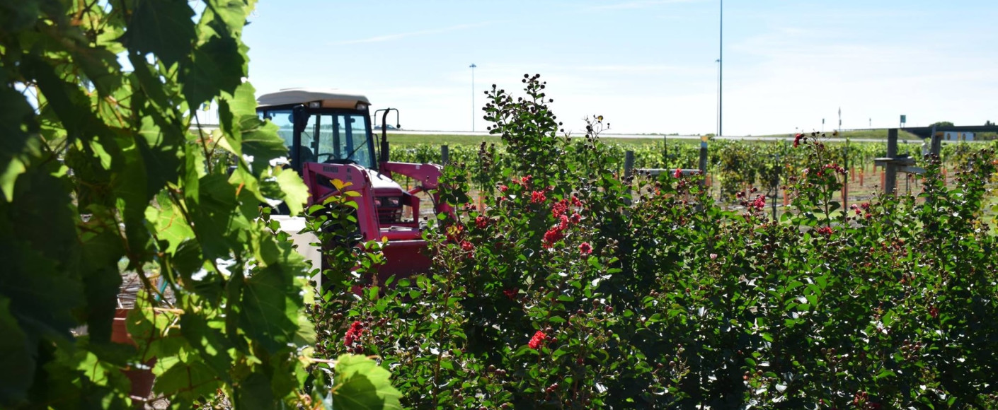 Wyldewood Cellars