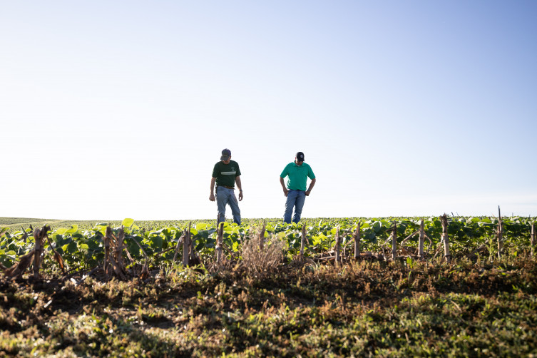 Neibling Family Farms