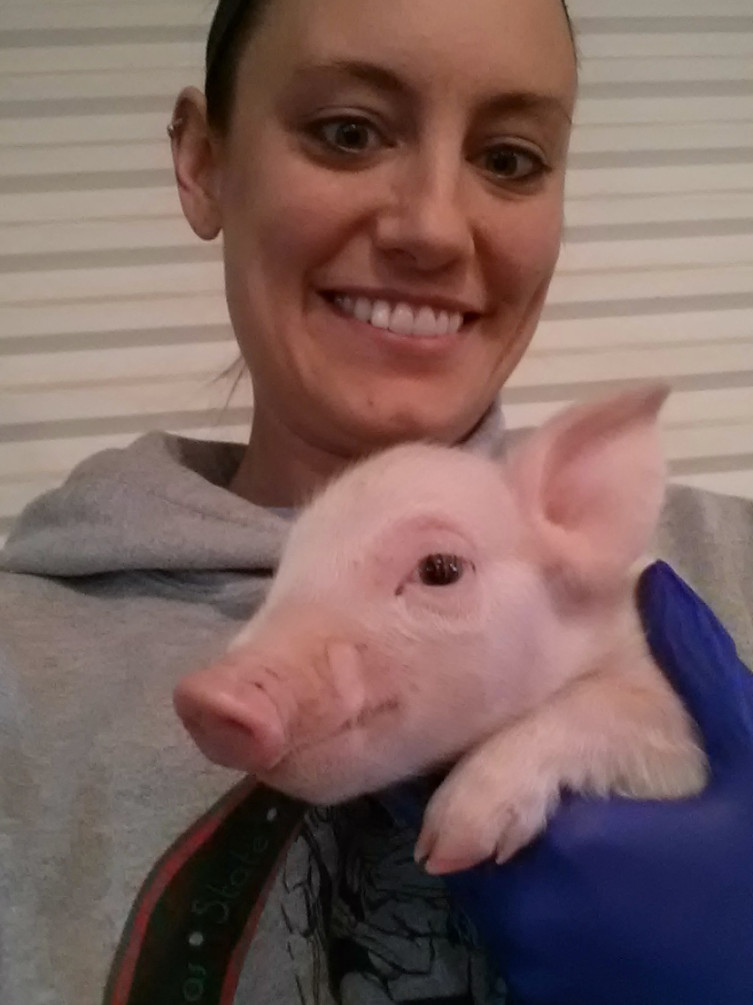 Nicole Harrison pig farmer